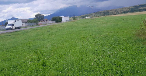 TEREN DE VÂNZARE in Tohanul Vechi Zărnești - 4