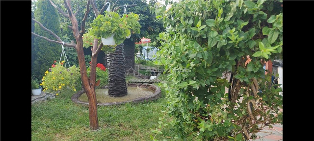 3 CAMERE, SITUATA INTR O  OAZA DE LINISTE APROAPE DE PLOIESTI - 7/10