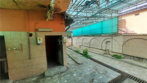 Casa P+1   Malu Rosu   Enachita Vacarescu - 3
