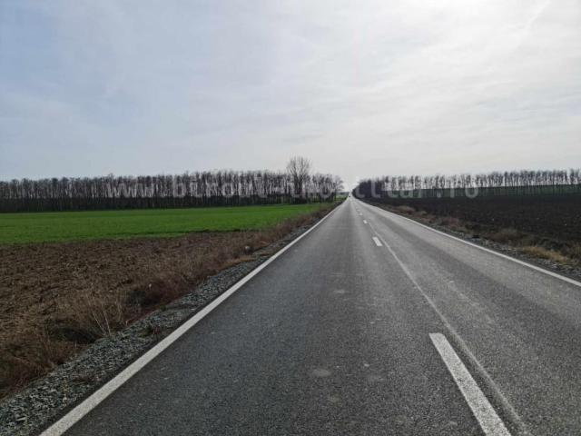 vanzare ferma agricola cu teren agricol la sosea,21 ha,cladiri,utilaje - 1/7