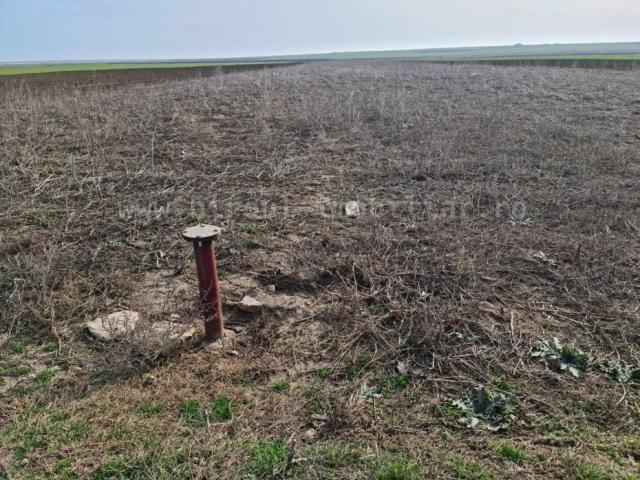 vanzare ferma agricola cu teren agricol la sosea,21 ha,cladiri,utilaje - 3/7