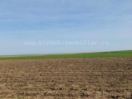 vanzare ferma agricola cu teren agricol la sosea,21 ha,cladiri,utilaje - 4