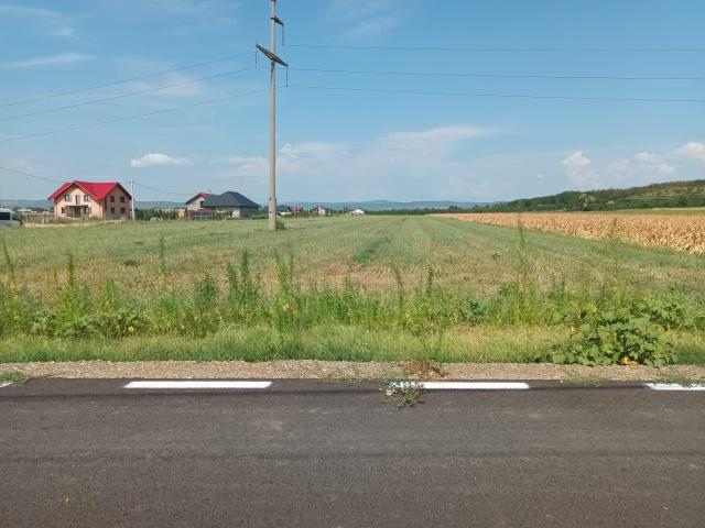 Vand teren intravilan, 20.000 mp in Jud. Buzau, Com. Maracineni - 1/3
