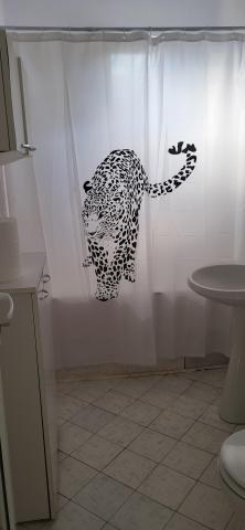 Închiriez apartament  2 camere zona ultracentrala - 9/10