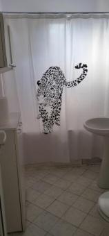 Închiriez apartament  2 camere zona ultracentrala - 9